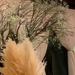 マウロ・アネーラの写真5枚目