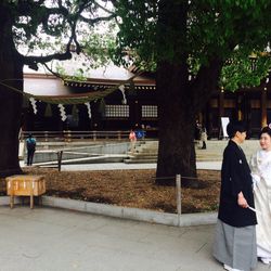 明治神宮・明治記念館の写真4枚目