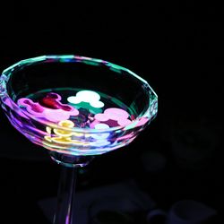 ザ・ミーツ マリーナテラスの写真33枚目