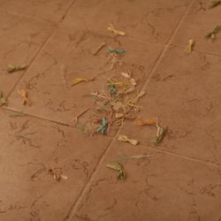 ルメルシェ元宇品の写真4枚目