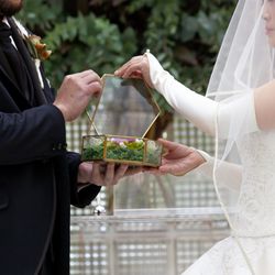 旧桜宮公会堂の写真13枚目
