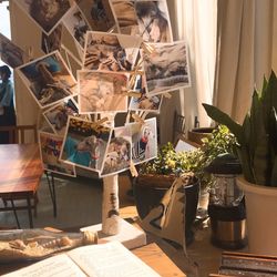 ラフィーノオーシャンの写真27枚目