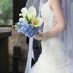 ラヴィマーナ神戸の写真13枚目