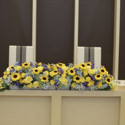 ノートルダムマリノアの写真33枚目