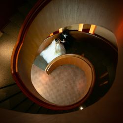 パーク ハイアット 東京の写真32枚目