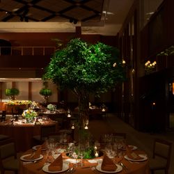 パーク ハイアット 東京の写真10枚目