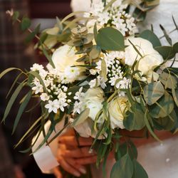 ブルーアステールの写真22枚目