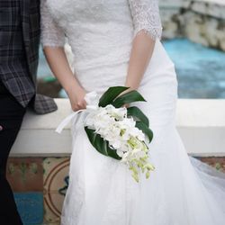 ブルーアステールの写真8枚目