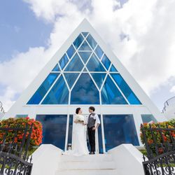 ブルーアステールの写真19枚目