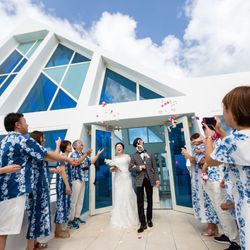 ブルーアステールの写真21枚目