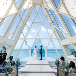 ブルーアステールの写真4枚目