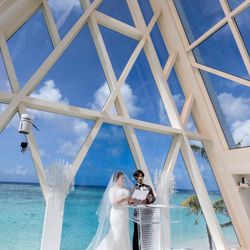 ブルーアステールの写真34枚目