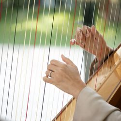 ザ・ガーデンオリエンタル大阪の写真29枚目