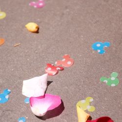 ノートルダムセンティアの写真2枚目