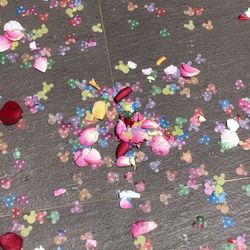 ノートルダムセンティアの写真6枚目