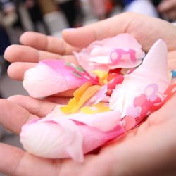 ノートルダムセンティアの写真8枚目