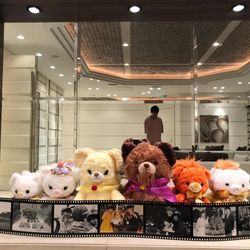 ノートルダムセンティアの写真20枚目