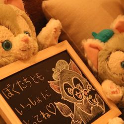 ノートルダムセンティアの写真3枚目