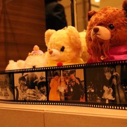 ノートルダムセンティアの写真14枚目