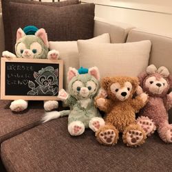 ノートルダムセンティアの写真27枚目