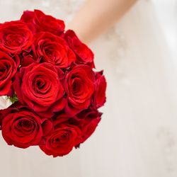 KOTOWA 奈良公園 Premium Viewの写真34枚目