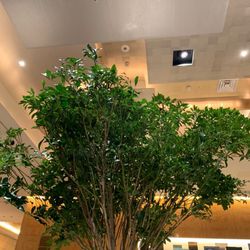 ホテル椿山荘東京の写真29枚目