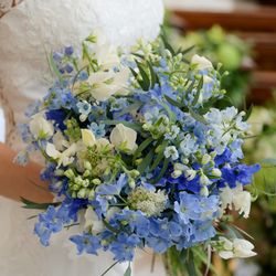 ザ・オランジェガーデン五十鈴川の写真10枚目