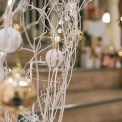 宮の森フランセス教会の写真1枚目