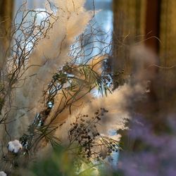 ザ・ガーデンオリエンタル大阪の写真8枚目