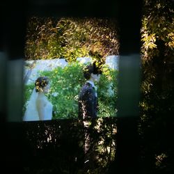 ザ・ガーデンオリエンタル大阪の写真15枚目