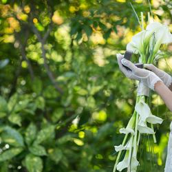 ザ・ガーデンオリエンタル大阪の写真9枚目