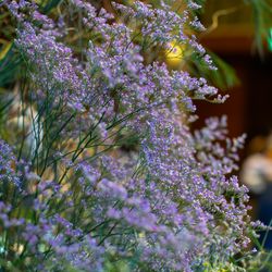 ザ・ガーデンオリエンタル大阪の写真20枚目