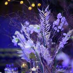 パレスホテル東京の写真35枚目