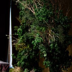 パレスホテル東京の写真1枚目