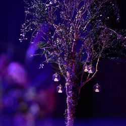 パレスホテル東京の写真5枚目