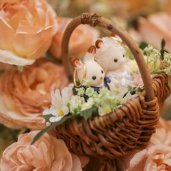 大阪セントバース教会の写真23枚目