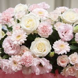 カノビアーノ 福岡の写真21枚目