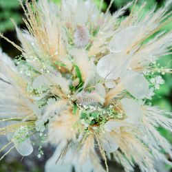 北野ガーデンの写真9枚目