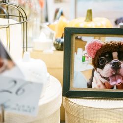 ザ ソウドウ 東山 京都の写真18枚目