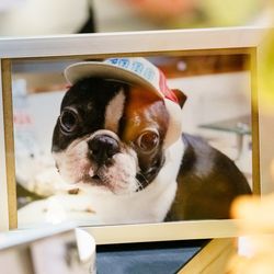 ザ ソウドウ 東山 京都の写真6枚目