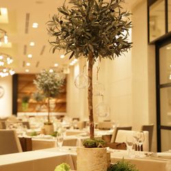 リビエラ東京の写真8枚目