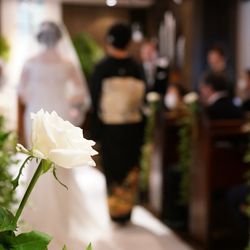 リビエラ東京の写真14枚目