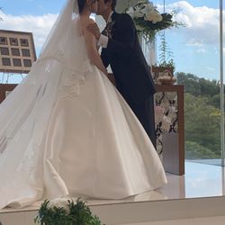 ザ・ミーツ マリーナテラスの写真32枚目