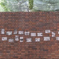 Mia Viaの写真14枚目