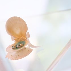 ガーデンヒルズ迎賓館 大宮の写真16枚目