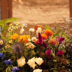 赤坂プリンス クラシックハウスの写真28枚目