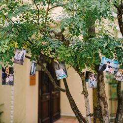 アネーリ大宮の写真6枚目