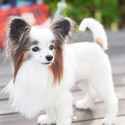 HOTEL SETREの写真18枚目