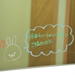 ザ・プレミアムレジデンス ラグナヴェール広島の写真23枚目