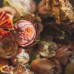 メゾン プルミエールの写真29枚目